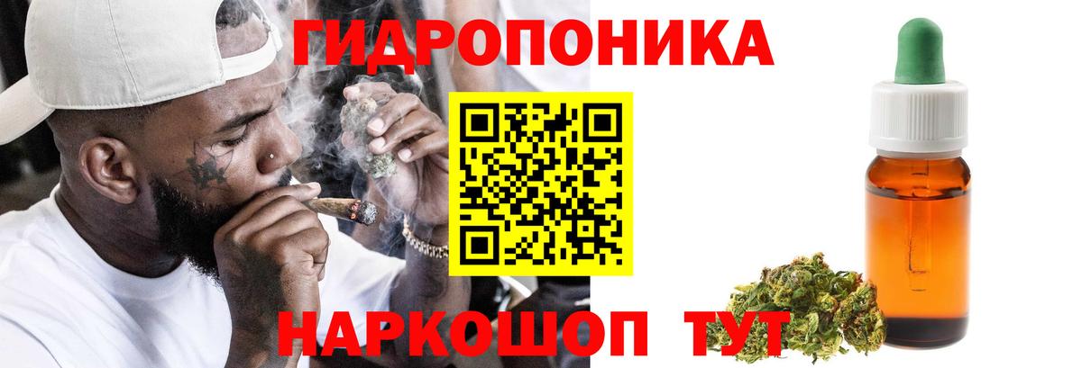 Конопля планчик Ноябрьск